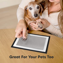 Load image into Gallery viewer, 1-Pack Inkless Ink Pad (Silver)