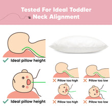 Load image into Gallery viewer, 1-Pack Toddler Pillow Without Pillowcase