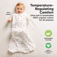 Load image into Gallery viewer, 2-Pack Snooze Sleep Sacks (Butterflies)