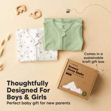 Load image into Gallery viewer, 2-Pack Snooze Sleep Sacks (Roarsome)