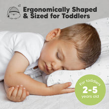 Load image into Gallery viewer, 2-Pack Toddler Pillows Without Pillowcase (Bunnies)