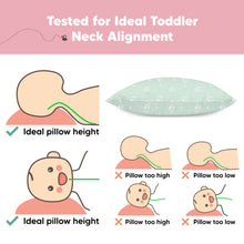 Load image into Gallery viewer, 2-Pack Toddler Pillows Without Pillowcase (Bunnies)