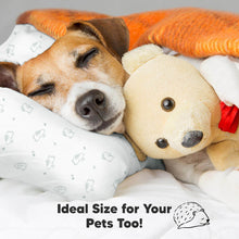 Load image into Gallery viewer, 2-Pack Toddler Pillows Without Pillowcase (Bunnies)