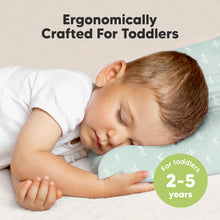 Load image into Gallery viewer, 2-Pack Toddler Pillows Without Pillowcase (Planes)