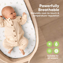 Load image into Gallery viewer, 2-Pack Isla Fitted Bassinet Sheets (Meadow)