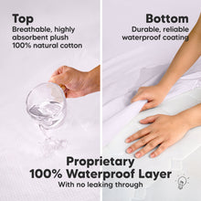 Load image into Gallery viewer, 2-Pack Quin Protect+ Waterproof Crib Mattress Protector (Thistle)