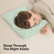 Load image into Gallery viewer, 2-Pack Toddler Pillows Without Pillowcase (DinoLand)