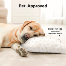 Load image into Gallery viewer, 2-Pack Toddler Pillows Without Pillowcase (Excavator)