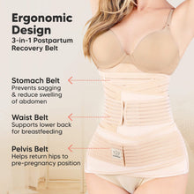 Load image into Gallery viewer, Revive 3-in-1 Postpartum Recovery Support Belt (Classic Ivory)