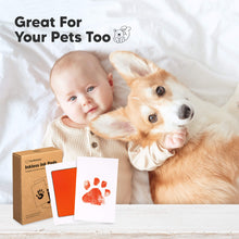 Load image into Gallery viewer, 4-Pack Inkless Ink Pads (Fiesta)