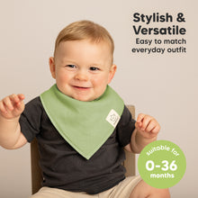 Load image into Gallery viewer, 8-Pack Organic Bandana Bibs (Cruise)