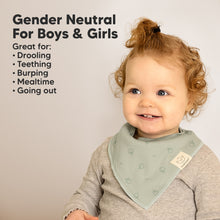 Load image into Gallery viewer, 8-Pack Organic Bandana Bibs (Nordic)