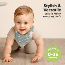 Load image into Gallery viewer, 8-Pack Organic Bandana Bibs (Fleur)