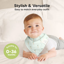 Load image into Gallery viewer, 8-Pack Organic Bandana Bibs (Roarsome)