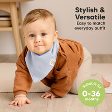 Load image into Gallery viewer, 8-Pack Organic Bandana Bibs (Spring)