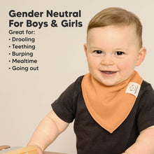 Load image into Gallery viewer, 8-Pack Organic Bandana Bibs (Mauve)