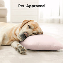 Load image into Gallery viewer, Buddy Toddler Pillow (Mist Pink)