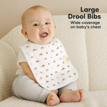 Load image into Gallery viewer, 8-Pack Coast Drool Bibs (Roarsome)