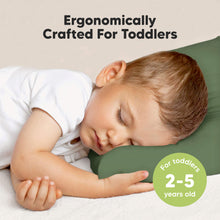 Load image into Gallery viewer, Jumbo Toddler Pillow with Pillowcase (Jungle Green)
