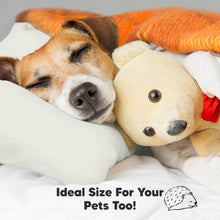 Load image into Gallery viewer, Jumbo Toddler Pillow with Pillowcase (Pearl Gray)