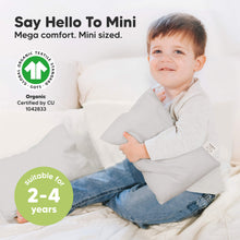 Load image into Gallery viewer, Mini Toddler Pillow With Pillowcase (French Gray)