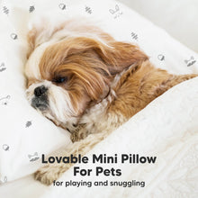 Load image into Gallery viewer, Mini Toddler Pillow With Pillowcase (Prairie)