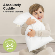 Load image into Gallery viewer, Cuddly Toddler Pillow with Pillowcase
