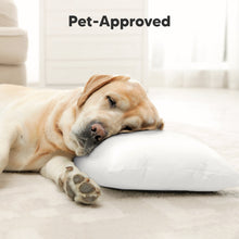 Load image into Gallery viewer, Cuddly Toddler Pillow with Pillowcase