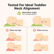 Load image into Gallery viewer, Tested for Ideal Toddler Neck Alignment, Ideal pillow height 3.5"