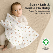 Load image into Gallery viewer, Shea Burp Cloths (Roarsome)