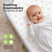 Load image into Gallery viewer, 2-Pack Soothe Fitted Bassinet Sheets (Nibbles/Bruce)