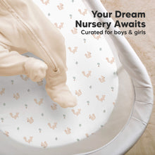 Load image into Gallery viewer, 2-Pack Soothe Fitted Bassinet Sheets (Nibbles/Bruce)