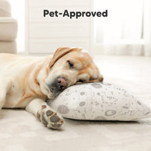 Load image into Gallery viewer, Toddler Pillow with Pillowcase (Flora Vale)