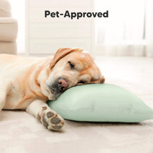 Load image into Gallery viewer, Toddler Pillow with Pillowcase (Jungle Green)