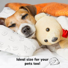 Load image into Gallery viewer, Toddler Pillow with Pillowcase (ABC Land)