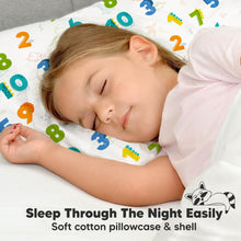 Load image into Gallery viewer, Toddler Pillow with Pillowcase (Dino123)