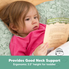 Load image into Gallery viewer, Toddler Pillow with Pillowcase (DinoDood)