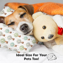 Load image into Gallery viewer, Toddler Pillow with Pillowcase (Hot Air Balloon)