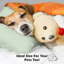 Load image into Gallery viewer, Toddler Pillow with Pillowcase (Sage)