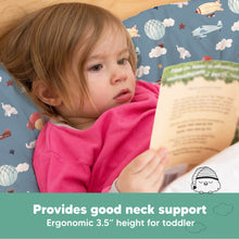 Load image into Gallery viewer, Toddler Pillow with Pillowcase (Up & Away)