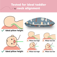 Load image into Gallery viewer, Toddler Pillow with Pillowcase (Up & Away)