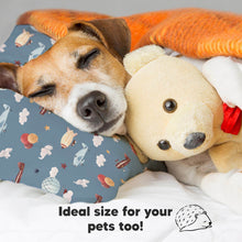 Load image into Gallery viewer, Toddler Pillow with Pillowcase (Up & Away)