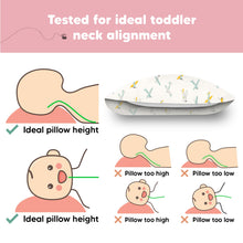Load image into Gallery viewer, Jumbo Toddler Pillow with Pillowcase (Plane)