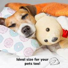 Load image into Gallery viewer, Toddler Pillow with Pillowcase (Donuts)