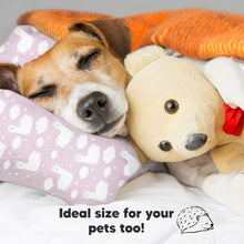 Load image into Gallery viewer, Toddler Pillow with Pillowcase (Alpacas)