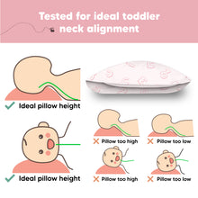 Load image into Gallery viewer, Toddler Pillow with Pillowcase (ABC Land Rose)