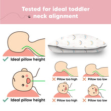 Load image into Gallery viewer, Jumbo Toddler Pillow with Pillowcase (Jolly Rainbow)