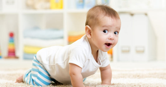 Supporting Babies’ Behavioural Development 