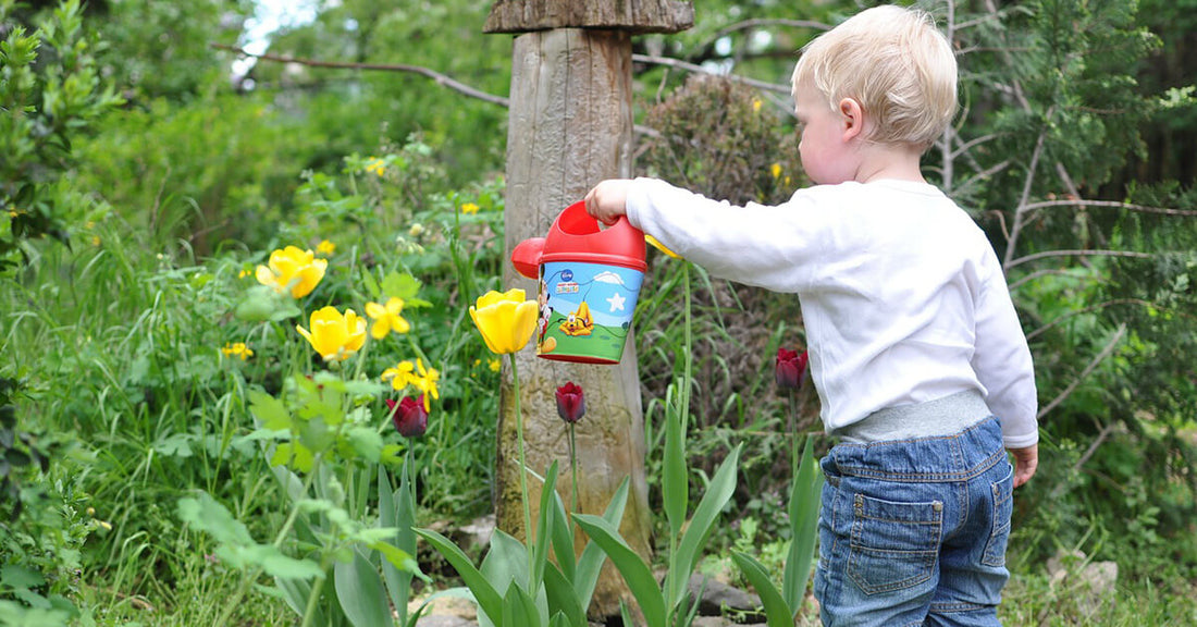 Start a family garden