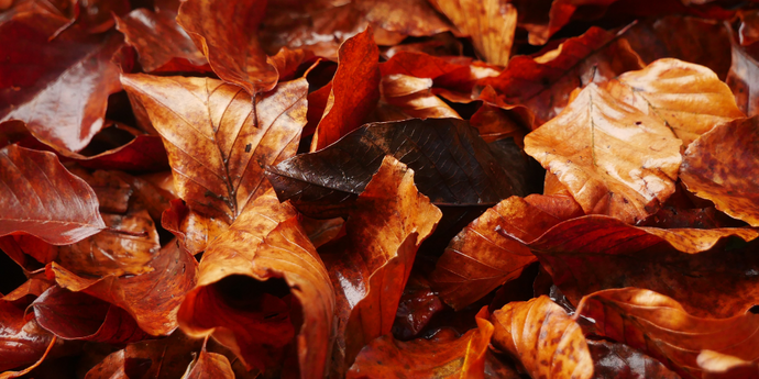 Fall Crafts Inspired By Nature
